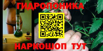 стаф Краснодар