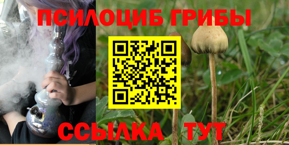 Галлюциногенные грибы MAGIC MUSHROOMS  Вход с VPN  Псилоцибиновые грибы Cubensis  Зеленогорск 