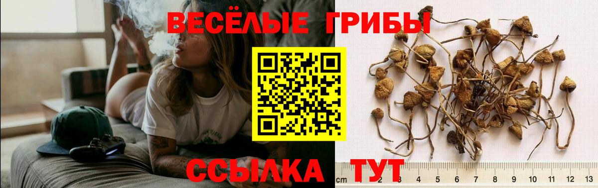 Галлюциногенные грибы мухоморы Зеленогорск